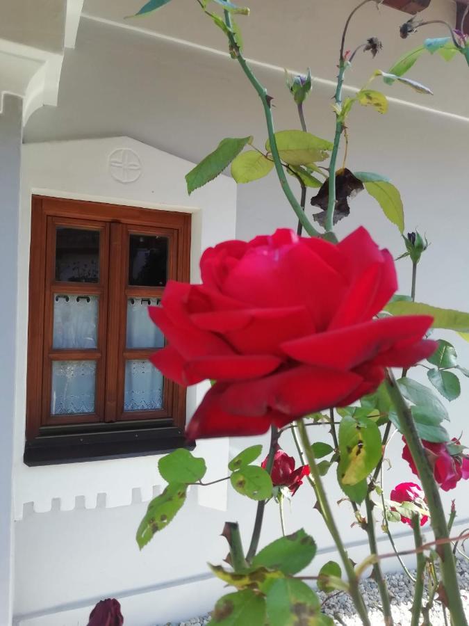 Hotel Aracsi Vendeghaz Balatonfüred Exteriér fotografie
